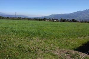 Campos y Fincas Venta Jujuy vtas